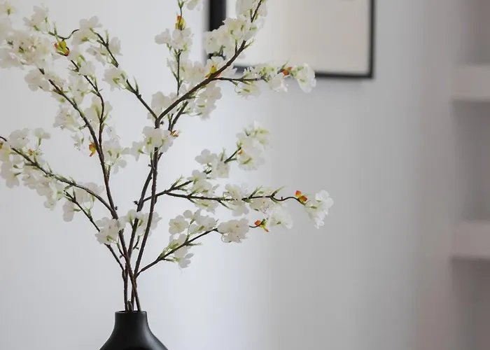 Elegant Filtry With Parking In By Renters