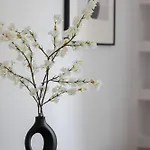 Elegant Filtry With Parking In By Renters
